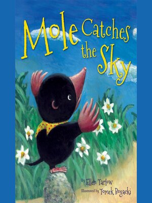 cover image of Mole Catches the Sky
